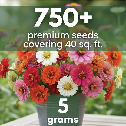 Zinnia ‘Cut and Come Again’ – 750 Seeds for Planting – 5 Gram Pouch