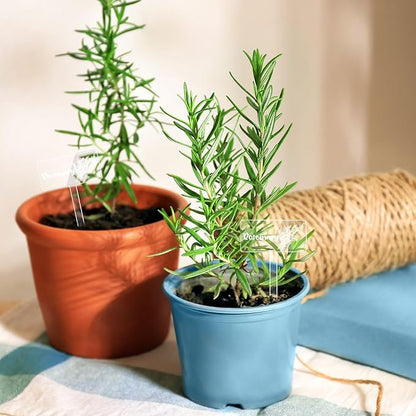 JarThenaAMCS 24Pcs Acrylic Plant Label Signs 12 Styles Garden Herb Markers Transparent Waterproof T-Type Tags Reusable Plant Stake Tags with Names for Nursery Indoor Outdoor Garden Decor