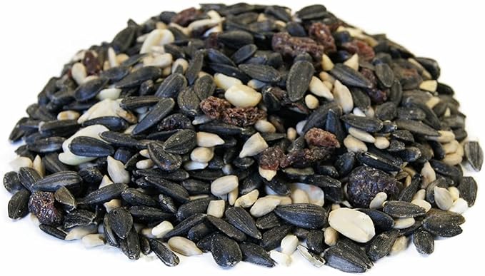 CountryMax Backyard Seeds Berries 'n Nut Blend Bird Seed Mix 20lbs - Premium Seeds, Nuts & Cranberries, Medium Bag of Wild Bird Food