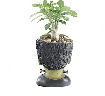 Funny Planter Head Planter Succulent Pot with Drainage Hole Fairy Garden Resin Cactus Plant Pot Pencil Holder Desk Storage Gift for Women Men(Frankstein)