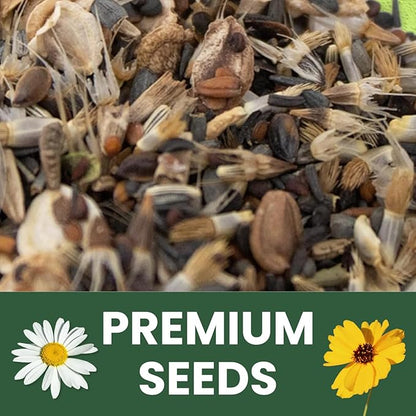 Drought Tolerant Mix – 4,000 Seeds for Planting – 2026 Season – 5 Gram Pouch