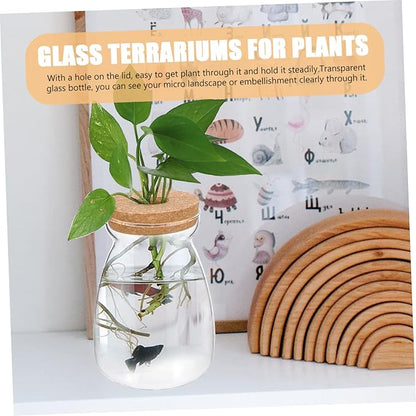 Large Glass Terrarium Jar for Hydroponic Plants - Indoor Miniature Garden Container with Open Hole Lid for Succulents and Decorative Ornaments