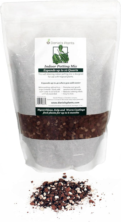 Daniel’s Plants Indoor Potting Soil – Enriched with Kelp, Worm Castings & Microorganisms for Healthy Growth, Aeration & Moisture Control (10-Quart)