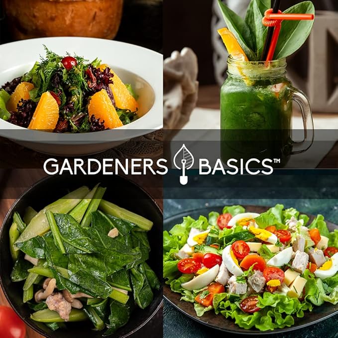 Gardeners Basics, 8 Leafy Garden Greens Seeds for Planting Individual Packets - Arugula, Collards, Spinach, Swiss Chard, Kale, Lettuce, Leafy and Butter Lettuce Seeds for Your Heirloom Salad Garden