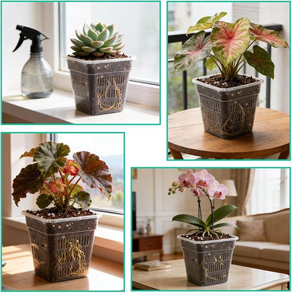 BTPLASTIK Clear Square Nursery Pots, 15 Packs 6 Inch Air Pruning Square Pots, Transparent Plastic Plant Pots for Seed Starting, Root Cutting