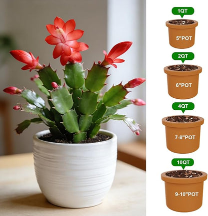 All-Natural Christmas Cactus Potting Soil Mix 10qt- Premium Well-Draining & Aerated ，Designed Specifically for Succulents and Cacti