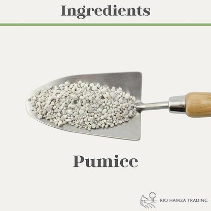 Horticultural Bonsai Pumice Soil Amendment (2 LB), Supplement for Bonsai and Cactus Indoor Plants