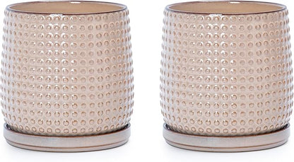 D'vine Dev Set of 2 Ceramic Plants Pots, 6 Inch Beaded Stoneware Flower Pot for Plants with Drainage Hole and Saucer, Light Brown, 27-E-X-4