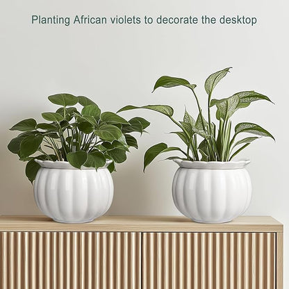 African Violet Pots, Self-Watering Ceramic Planter – 6 Inch Pot for Indoor Plants, Succulents, Herbs & Small Houseplants, Simple Self-Watering Design for Home & Office Décor, White