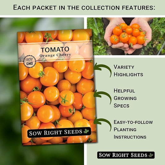 Sow Right Seeds - Yellow and Orange Tomato Seed Collection for Planting - Brandywine, Jubilee, Kellogg’s Breakfast, Yellow Pear & Cherry - Non-GMO Heirloom Varieties to Plant a Home Vegetable Garden