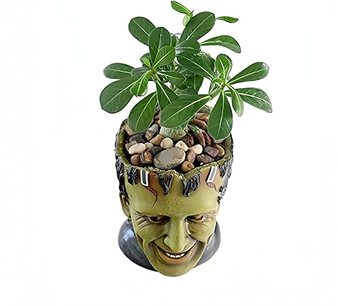 Funny Planter Head Planter Succulent Pot with Drainage Hole Fairy Garden Resin Cactus Plant Pot Pencil Holder Desk Storage Gift for Women Men(Frankstein)
