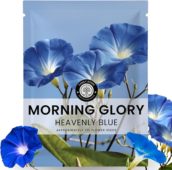Morning Glory Heavenly Blue – 135 Seeds for Planting – 2026 Season – 5-Grams Pouch