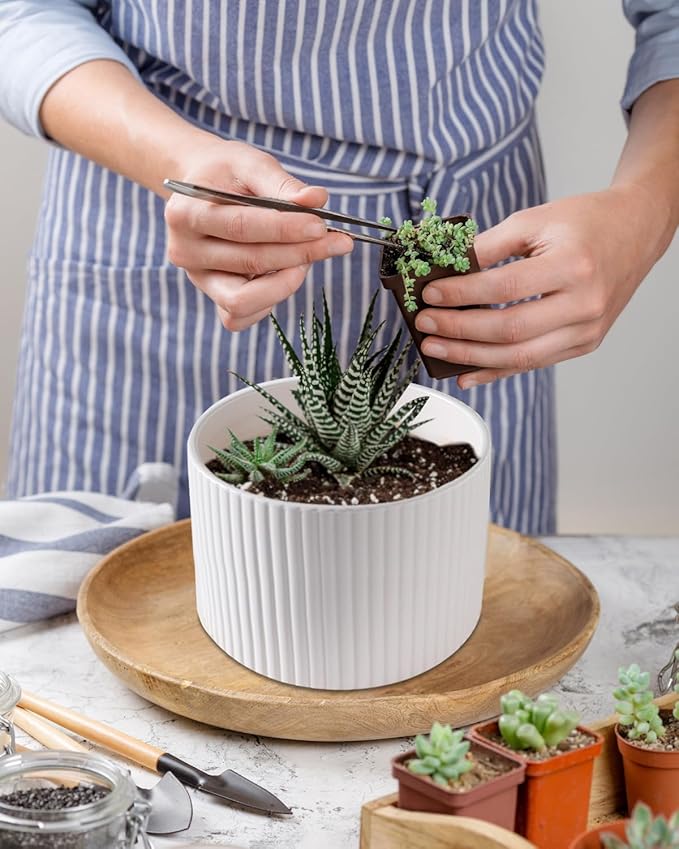Ceramic Plant Pots, 8.1 + 6 Inch Planters for Indoor Plants, Modern Flower Pots for Plants with Drainage, Medium Cylinder Flower Pots for Indoor Plants, House Plants, Matte White