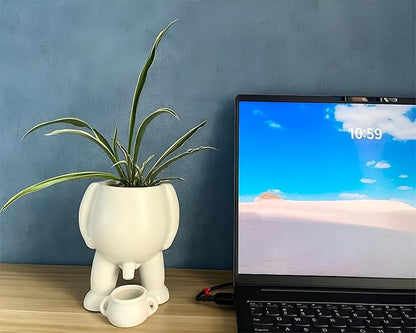 Creative Ceramic Human Shape Planter - Funny Penis Planter with Drainage, Stylish Peeing Pot for Indoor/Outdoor Piss Succulent Plant Pot, Gift for Father Friends Family, 5.4 Inches (White)