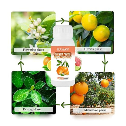 Citrus Fertilizer for All Citrus and Fruiting Trees, Microbial Organic Liquid Plant Food 10 oz (300mL)