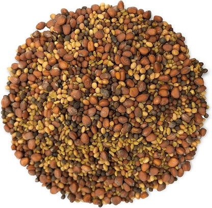 Food to Live Organic Salad Mix of Sprouting Seeds, 10 Pounds — Non-GMO Broccoli, Radish, Clover, Alfalfa. Rich Germination Rate, Non-Irradiated, Kosher, Vegan Superfood, Bulk, Rich in Sulforaphane