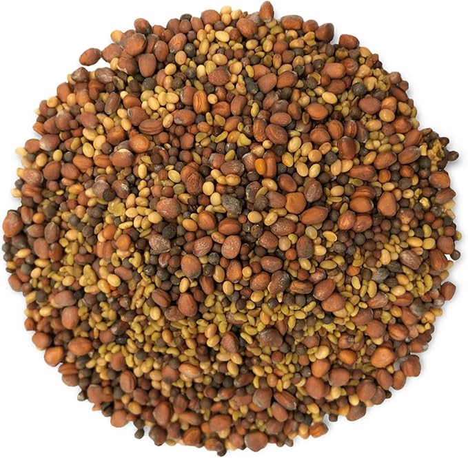 Food to Live Organic Salad Mix of Sprouting Seeds, 5 Pounds — Non-GMO Broccoli, Radish, Clover, Alfalfa. Rich Germination Rate, Non-Irradiated, Kosher, Vegan Superfood, Bulk, Rich in Sulforaphane