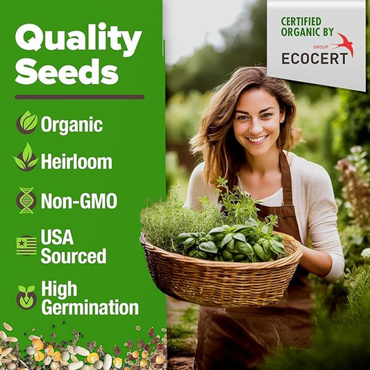 HOME GROWN Organic Herb Seeds Variety Pack - Non GMO, Heirloom 5100+ High-Germinating Heirloom Seeds for Planting Indoor Outdoor Spring Herb Garden Hydroponics Garden Seeds, Basil Cilantro & More