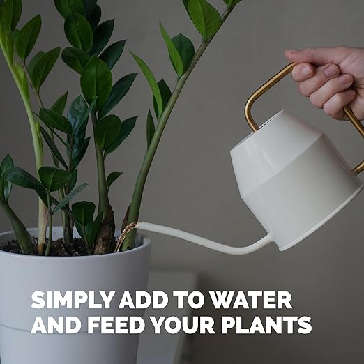 ZZ Plant Fertilizer for All Zamioculcas Plants, Liquid Plant Food, 32 oz (1 Quart)