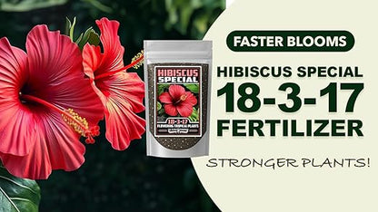Fertilizer Commercial Grade | Tropical Flower Special 18-3-17 | 1 Pound | Custom Professional Mix Blend | 90-Day, Buds & Blooms | Balanced NPK Formula for Hibiscus & Orchids | Controlled Release Feed
