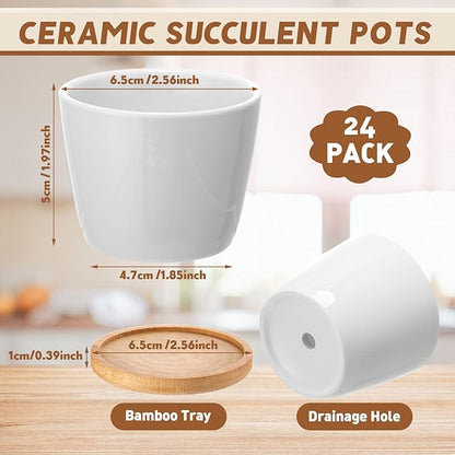 Hsei 24 Pack 2.5 Inch Mini Succulent Plant Pots Valentine's Small Ceramic Flower Pot with Bamboo Tray Garden Cactus Herb Container Home Office Decoration for Birthday Wedding Favor Gifts (White)