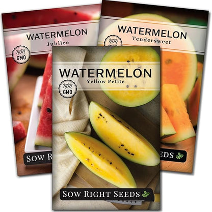Sow Right Seeds - Tri-Color Watermelon Seed Collection for Planting - Red Jubilee, Yellow Petite and Orange Tendersweet Watermelons - Non-GMO Heirloom Seeds to Plant a Home Vegetable Garden