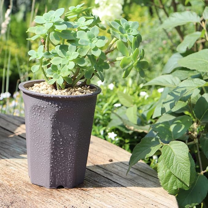 BangQiao 14 Pack 4.40 Inch Plastic Deep Nursery and Seedling Pots, Round Transplant Seed Starter Planter,Gray Color