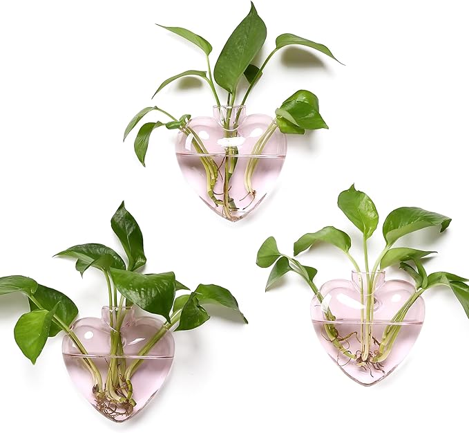 Wall Hanging Planter Propagation Station for Indoor Plants Glass Vase Air Plant Holder for Bathroom Living Room