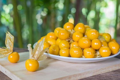 TomorrowSeeds - Hawaiian Giant Poha Berry Seeds - 200+ Count - for 2026 Planting Physalis Peruviana Goldenberry Peruvian Ground Cherry Cape Gooseberry Pichuberry Inca Tomatillo Fruit Grow Your Own