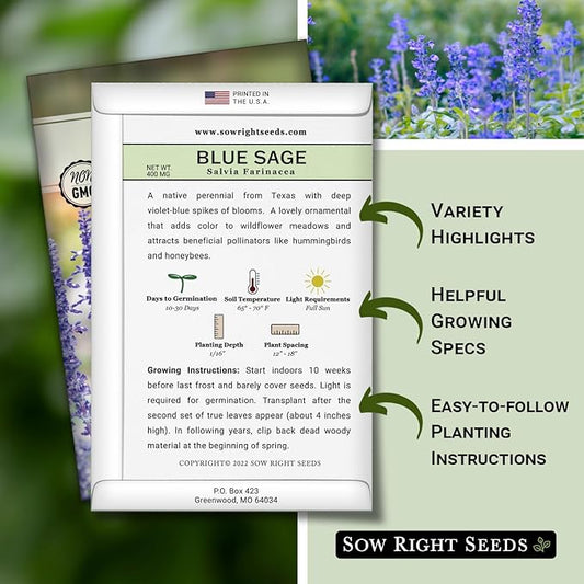 Sow Right Seeds - Blue Sage Wildflower Seed to Plant - Non-GMO Heirloom Seeds - Full Instructions for Planting and Growing Mealycup Sage or Salvia farinacea - Indoors or Outdoor - Gardening Gift (3)
