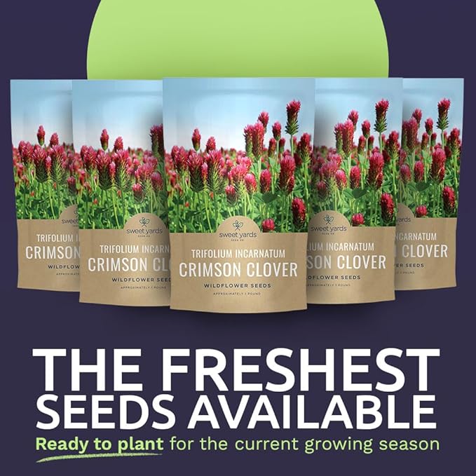 Crimson Clover Seeds for Planting – Bulk 5 Pounds – Over 400,000 Open Pollinated Non-GMO Seeds – Trifolium incarnatum