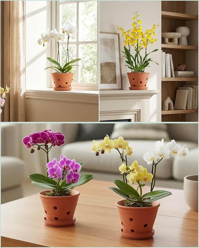 vensovo 4 Inch Terracotta Orchid Pots with Holes and Saucers - 6 Pcs Small Clay Planters for Repotting, Terra Cotta Pot for Plants Indoor and Outdoor Promotes Air Circulation