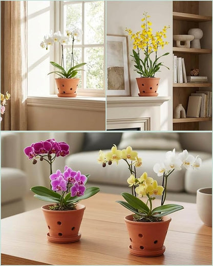 vensovo 4 Inch Terracotta Orchid Pots with Holes and Saucers - 6 Pcs Small Clay Planters for Repotting, Terra Cotta Pot for Plants Indoor and Outdoor Promotes Air Circulation