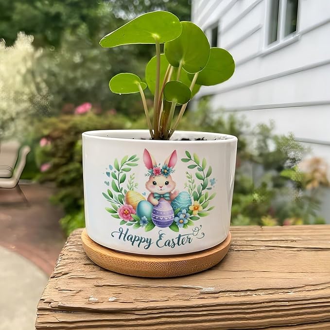 DreamAutumn Easter Bunny Rabbit Ceramic Planters Ceramic Pots with Saucers Orchid Pots for Plants Succulents Pots Office Desk Garden Balconys New Home Decor,Gifts for Mom Mother Grandmother