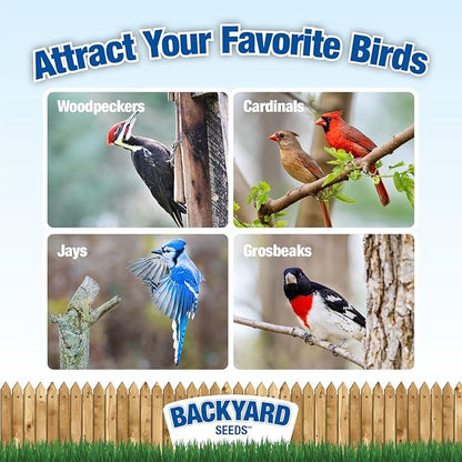 CountryMax Backyard Seeds Woodpecker No-Waste Bird Seed Mix 40lbs - Premium Shelled Peanuts & Sunflower Chips, Medium Bag of Wild Bird Food
