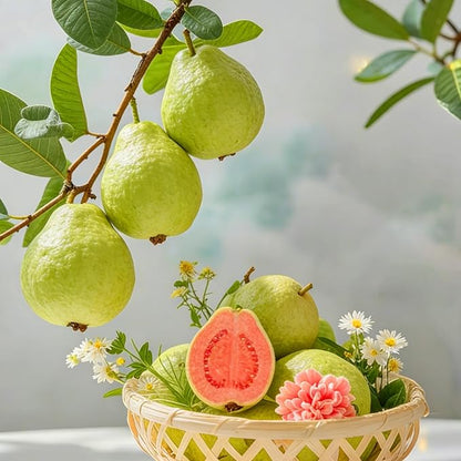 Dwarf Guava Seeds for Planting Outdoor, 15pcs Guava Tree Fruits Seeds Non-GMO Heirloom Sweet Edible Fruit, Sweet Juicy Fruits Plants in Your Home Garden