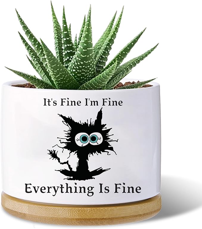 Black cat planters for Indoor Plants,Funny Gifts for Cat Lover,Indoor Plants Garden Planters Succulent Pots, with Drainage Holes and Saucer(No Plants) (Black Cat)