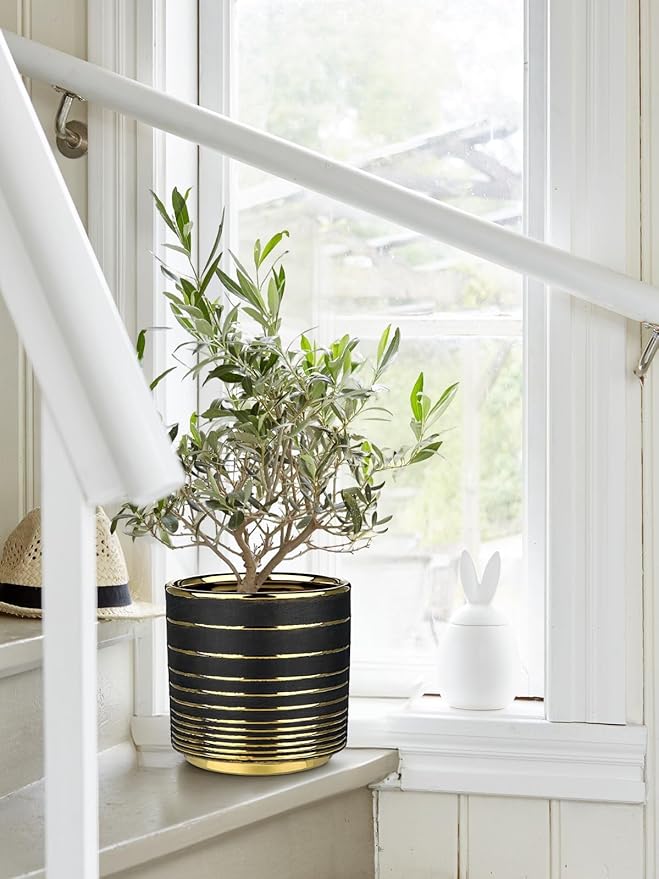 Black Ceramic Plant Pots, 5.5 + 6.2 Inch Gold Striped Panters for Plants, Modern Flower Pots for Home and Office, Indoor Planters with Drainage for Succulent Cactus Home Decoration Gift Indoor Outdoor