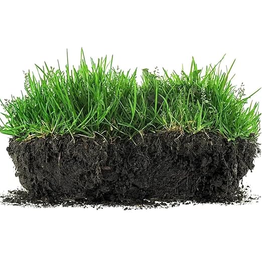 Viresta Soil Revitalizer - Viresta S-Oil Activator for Plants, Lawn & Garden Soil Conditioner - Plant Food Enhancer, Concentrated Humic Acid Formula - Promotes Root Growth & Nutrient Uptake (2Pcs)