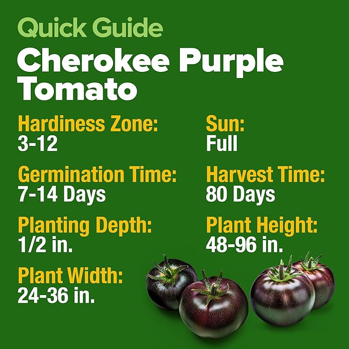 HOME GROWN Cherokee Purple Tomato Seeds 2 Pack (Solanum lycopersicum) - 212 Seeds, Tomato for Planting - Heirloom Vegetable Seeds with High Germination Rate