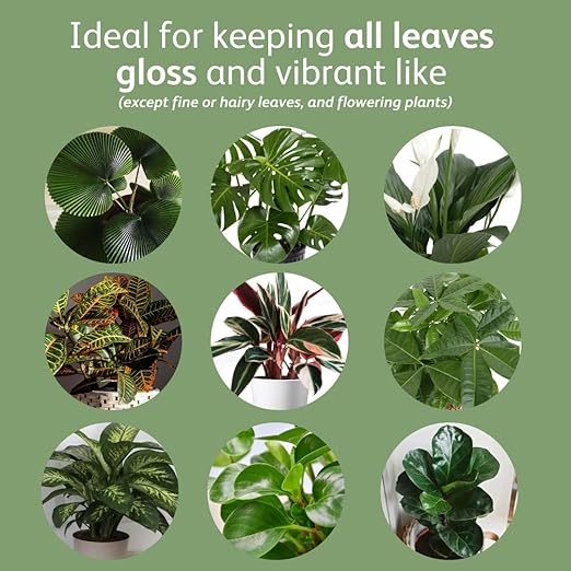 Chrysal LeafShine Spray for Indoor Plants (25oz 12 Pack)