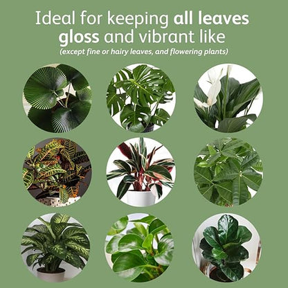 Chrysal LeafShine Spray for Indoor Plants (25oz 3 Pack)