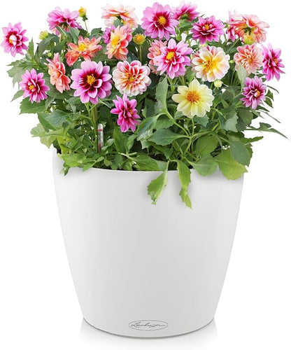 Lechuza 13210 Classico 35 Self-Watering Planter for Indoor and Outdoor Use, 14" x 14" x 13", White Matte