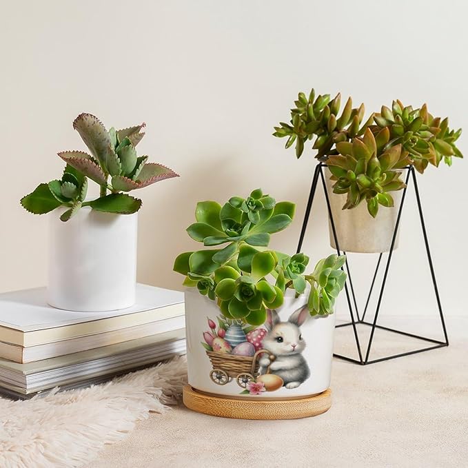 DreamAutumn Easter Bunny with Eggs Planter Ceramic Round Plant Pots with Drainage Holes and Bamboo Tray Planting Small Flower Pots for Home Windowsill Desk Garden Indoor Outdoor Use
