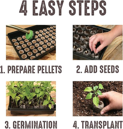 Jiffy Peat Soil Pellets Seed Starter Plugs - for Indoor Planting, Seedlings - 36 mm - Peat - 200 Count