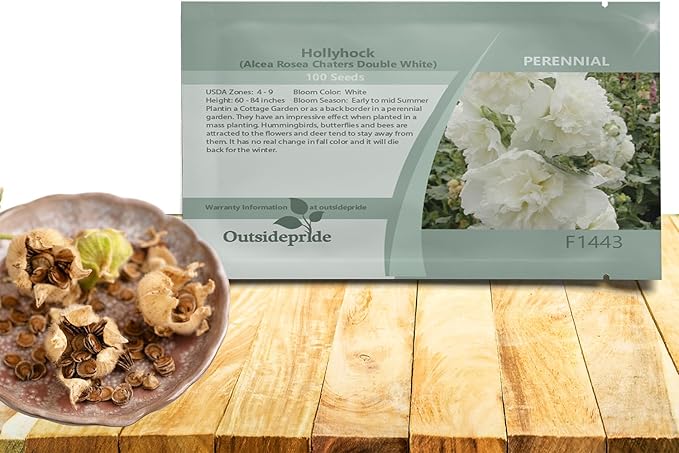 Outsidepride Double Hollyhock Seeds - 100 Pcs Perennnial White Heirloom, Long-Blooming Drought Tolerant Flower Seeds with Semi-Double Blooms for Cottage Gardens & Cut Flowers