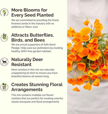 Eden Brothers Alaska Wildflower Mixed Seeds for Planting, 1 oz, 30,000+ Seeds with Yarrow, Foxglove, Cornflower | Attracts Pollinators, Plant in Spring or Fall, Zones