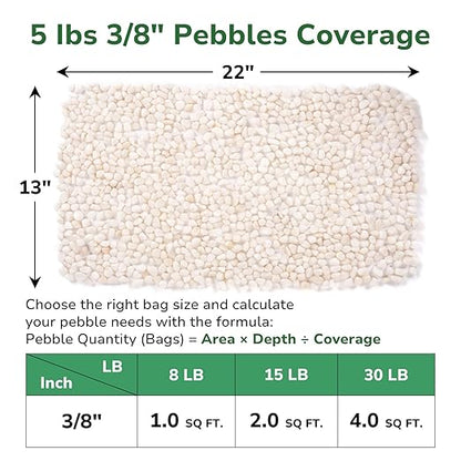 GreatBuddy 5-lb Decorative Rocks for Indoor Plants, 3/8" White Pebbles, Small Rocks for Potted Plants, Succulent, Vases, Aquariums, Fish Tanks, Garden Landscaping, Natural Polished