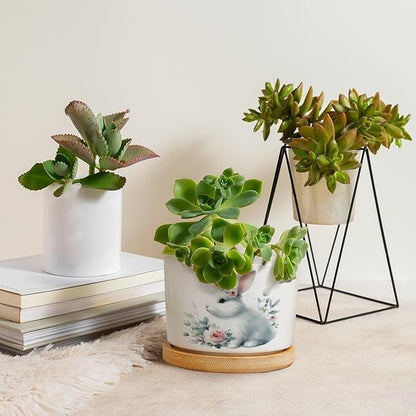 DreamAutumn Cute Easter Bunny Rabbit Ceramic Flower Pots,Gardening Plant Pot with Drainage Holes and Saucers Round Ceramic Pots for Indoor Plants Succulent Herbs Cactus Pots for Dad Papa Grandpa