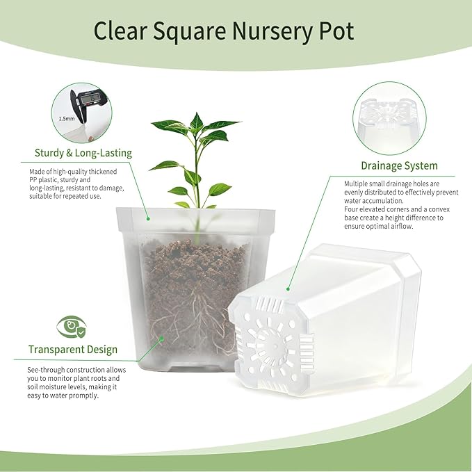 Clear Nursery Pots with Drainage, Square Plastic Plant Pots, 3 Inch Clear Seed Starter Flower Pots, 30 Pcs Small Pots for Seedling